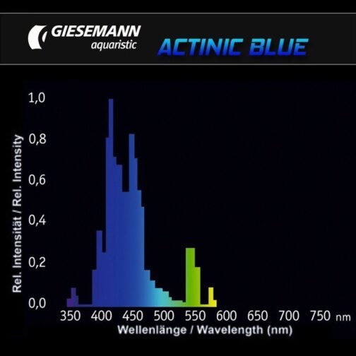 Giesemann Actinic blue 54W