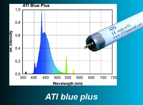 ATI Blue plus 80W