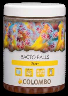 Colombo Marine Bacto Balls 1000ml